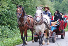 Croatia-Velebit Nature Park-Cowboy Eco Retreat